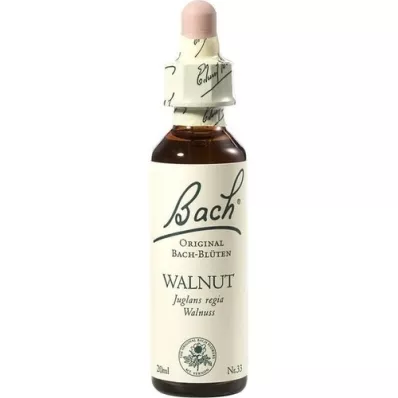 BACHBLÜTEN Gotas de nozes, 20 ml BACHBLÜTEN Gotas de nozes, 20 ml