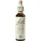 BACHBLÜTEN Gotas Água Violeta, 20 ml