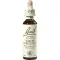 BACHBLÜTEN Gotas de Castanha Branca, 20 ml