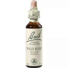 BACHBLÜTEN Gotas de Rosa Selvagem, 20 ml