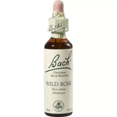 BACHBLÜTEN Gotas de Rosa Selvagem, 20 ml BACHBLÜTEN Gotas de Rosa Selvagem, 20 ml