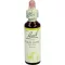 BACHBLÜTEN Gotas de Rosa Selvagem, 20 ml