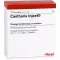 CANTHARIS INJEEL Ampolas, 10 unidades
