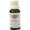 CERES Tintura mãe de absinto, 20 ml