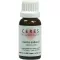 CERES Tintura mãe de Avena sativa, 20 ml