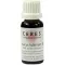 CERES Tintura mãe Dipsacus fullonum, 20 ml