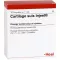CARTILAGO ampolas suis Injeel, 10 unidades