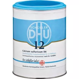BIOCHEMIE DHU 12 comprimidos de cálcio sulfuricum D 6, 1000 peças