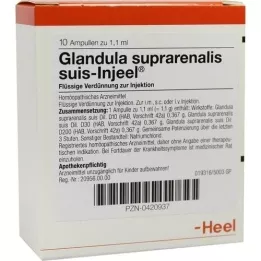 GLANDULA SUPRARENALIS ampolas suis Injeel, 10 unidades