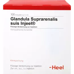 GLANDULA SUPRARENALIS ampolas suis Injeel, 100 unidades