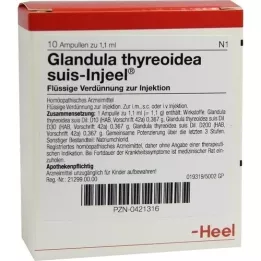 GLANDULA THYREOIDEA ampolas suis Injeel, 10 unidades