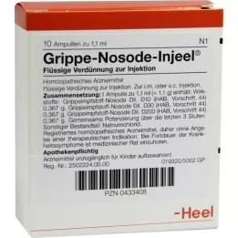 GRIPPE NOSODE Ampolas Injeel, 10 unidades