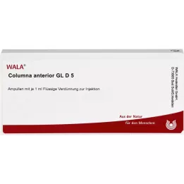 COLUMNA anterior GL D 5 ampolas, 10X1 ml