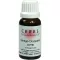 CERES Ginkgo dryopteris comp. gotas, 20 ml