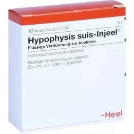 HYPOPHYSIS SUIS Ampolas Injeel, 10 unidades
