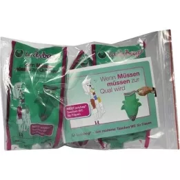 LADYBAG Bolsas-WC para mulheres, 3 peças