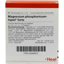 MAGNESIUM PHOSPHORICUM INJEEL ampolas fortes, 10 unidades