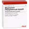 MAGNESIUM PHOSPHORICUM INJEEL ampolas fortes, 10 unidades