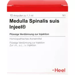 MEDULLA SPINALIS ampolas suis Injeel, 10 unidades