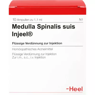 MEDULLA SPINALIS ampolas suis Injeel, 10 unidades MEDULLA SPINALIS ampolas suis Injeel, 10 unidades