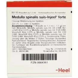 MEDULLA SPINALIS ampolas suis Injeel forte, 10 unid
