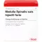 MEDULLA SPINALIS ampolas suis Injeel forte, 10 unid