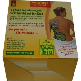 SCHLANKHEITSKUR Schoenenberger frutado, 1 p