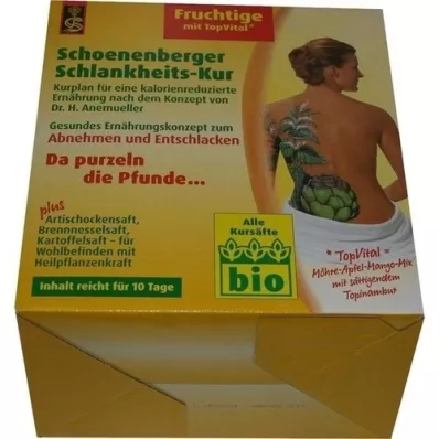 SCHLANKHEITSKUR Schoenenberger frutado, 1 p