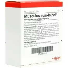 MUSCULUS SUIS Ampolas Injeel, 10 unidades