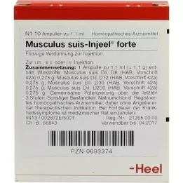 MUSCULUS SUIS Ampolas Injeel forte, 10 unid