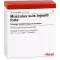 MUSCULUS SUIS Ampolas Injeel forte, 10 unid