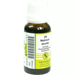 NATRIUM MURIATICUM KOMPLEX Diluição No.29, 20 ml