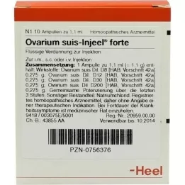 OVARIUM SUIS Ampolas Injeel forte, 10 unid