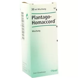 PLANTAGO HOMACCORD Gotas, 30 ml