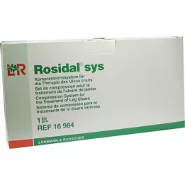 ROSIDAL sistema, 1 unidade