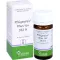PFLÜGERPLEX Comprimidos Rhus tox.353 H, 100 unidades