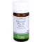 PFLÜGERPLEX Comprimidos Rhus tox.353 H, 100 unidades