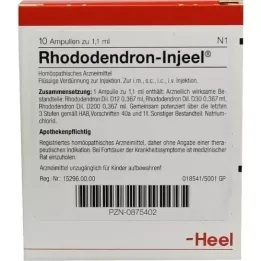 RHODODENDRON INJEEL Ampolas, 10 unidades