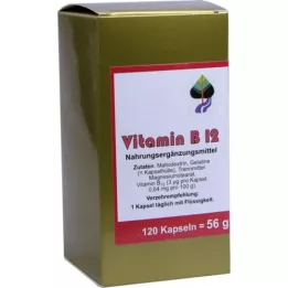 VITAMIN CÁPSULAS B12, 120 unid