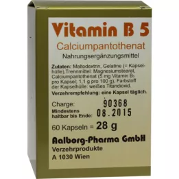 VITAMIN CÁPSULAS B5, 60 unid
