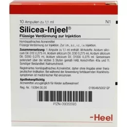 SILICEA INJEEL Ampolas, 10 unidades