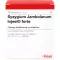 SYZYGIUM JAMBOLANUM INJEEL ampolas fortes, 10 unidades