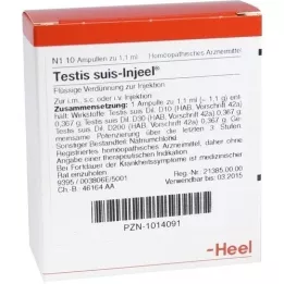 TESTIS SUIS Ampolas Injeel, 10 unidades