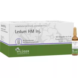 LEDUM HM Ampolas de injeção, 50 unidades