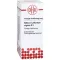 STIBIUM SULFURATUM NIGRUM Diluição D 8, 50 ml