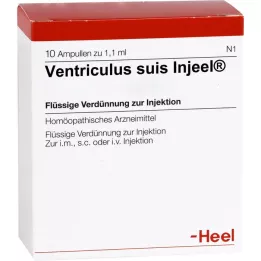 VENTRICULUS SUIS Ampolas Injeel, 10 unidades
