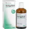 VERTIGOHEEL Gotas, 100 ml