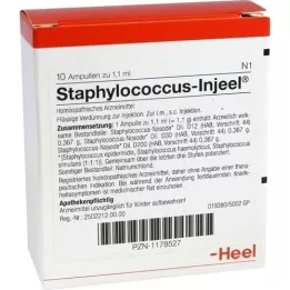 STAPHYLOCOCCUS INJEEL Ampolas, 10 unidades