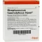 STREPTOCOCCUS HAEMOLYTICUS Ampolas Injeel, 10 unidades