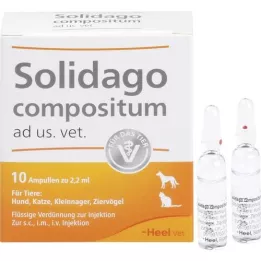 SOLIDAGO COMPOSITUM anúncio us.vet.ampoules, 10 unidades